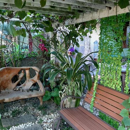דירות הואליין סיטי Bali House מראה חיצוני תמונה